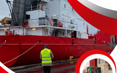 Załadunek w Gdańsku Nowym Porcie 735 palet z polskimi jabłkami