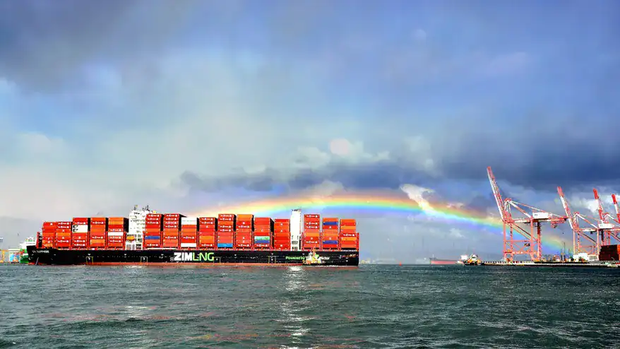 zim-saphire-dsc_0109-878×494